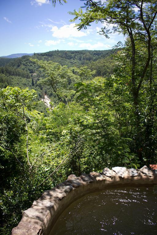 Tanamera Lodge Hazyview Zewnętrze zdjęcie
