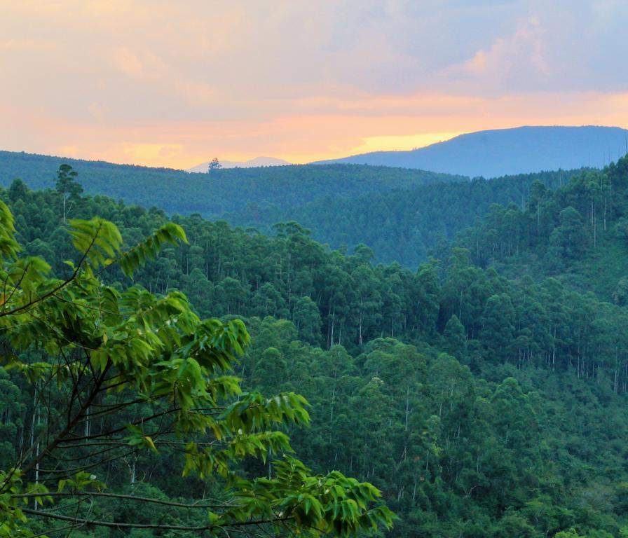 Tanamera Lodge Hazyview Zewnętrze zdjęcie