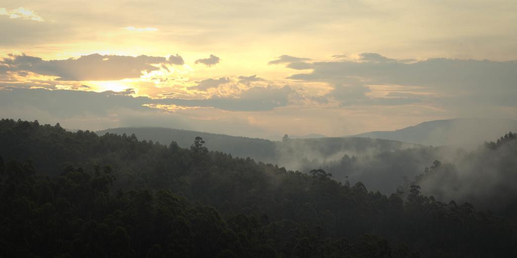 Tanamera Lodge Hazyview Zewnętrze zdjęcie